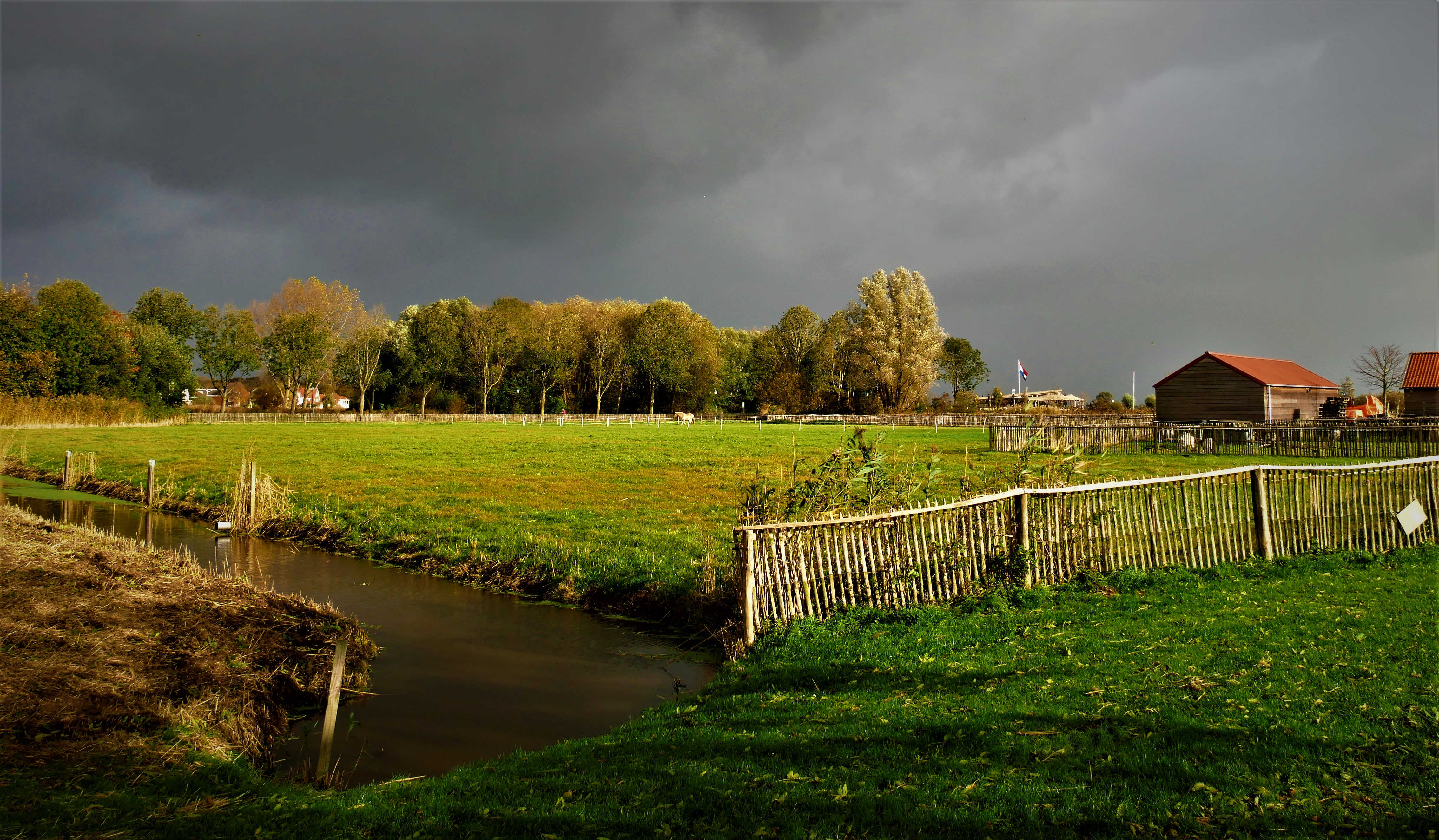 Fotografeerwandeling Koudenhoorn 7-11-21