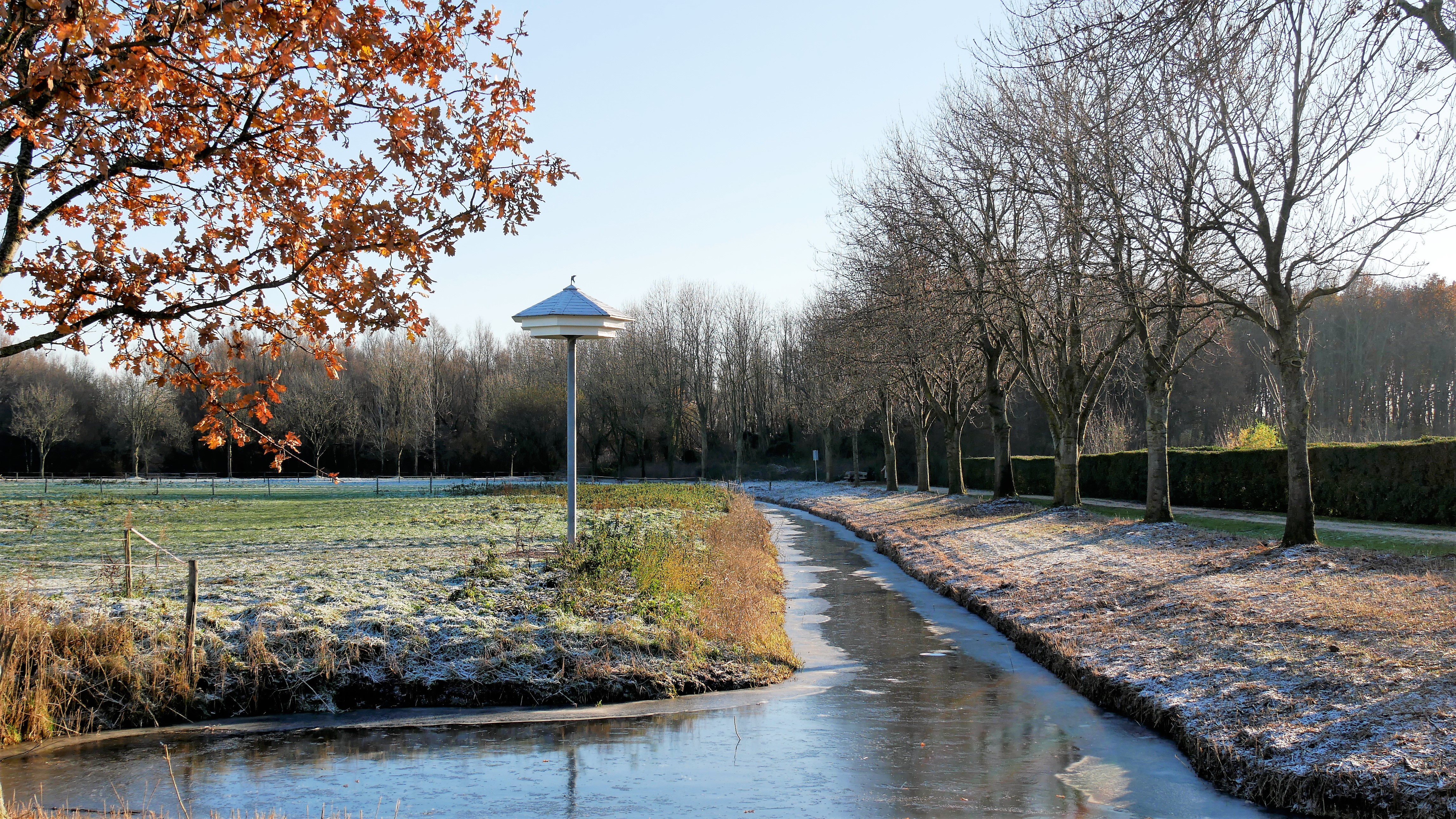 ADOPTEER EEN ZWALUWNEST OP KOUDENHOORN!