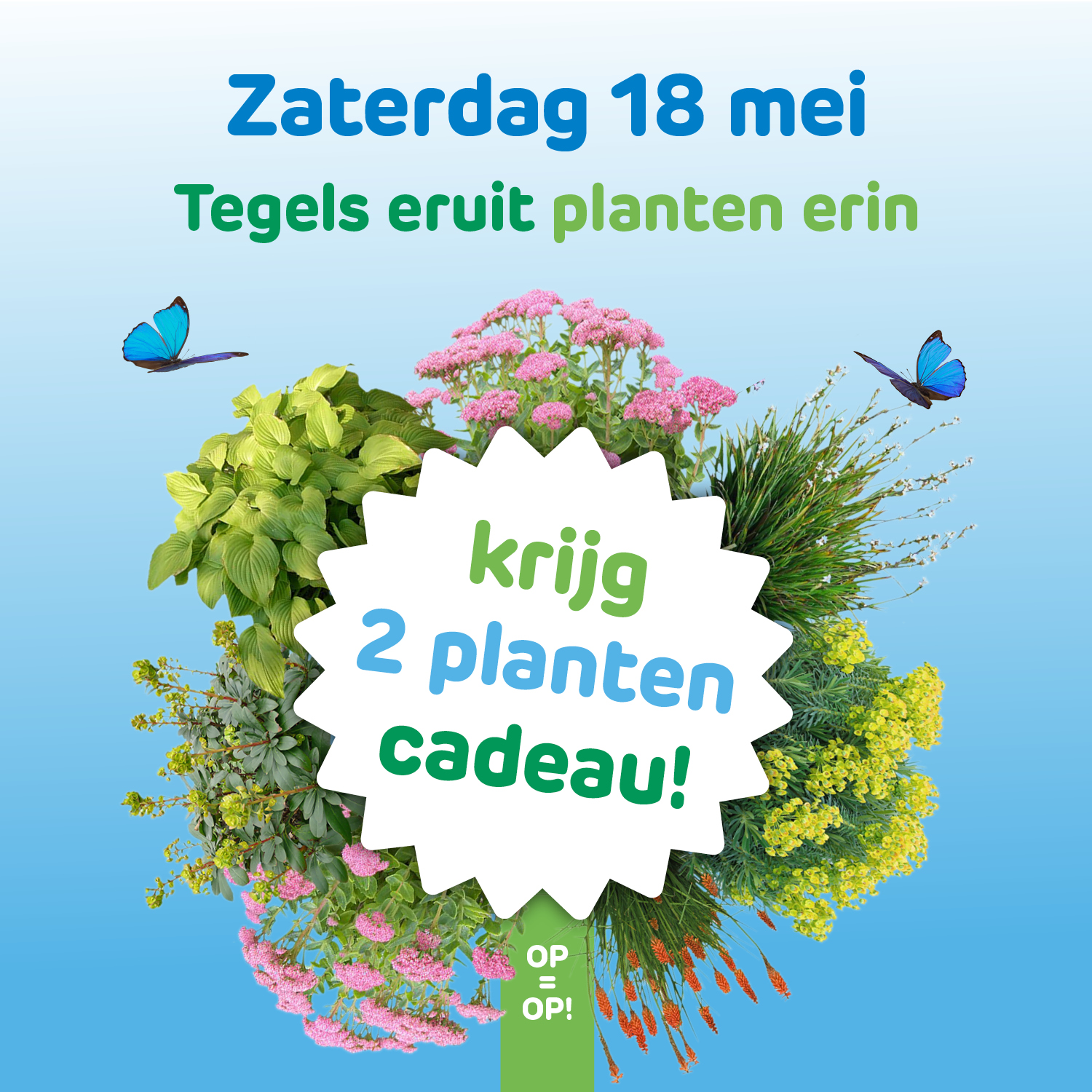 Tegels eruit - Plantjes erin!
