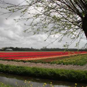 IMG_8559-1030x687
