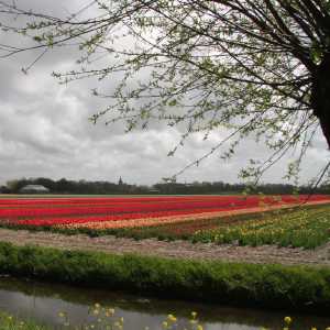 IMG_8559-1030x687