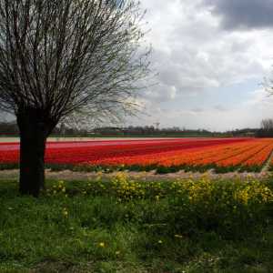 IMG_9572-kkkkkkkkkkkkkopie-1030x686