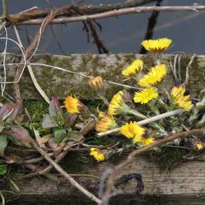 IMG_5661-1030x687