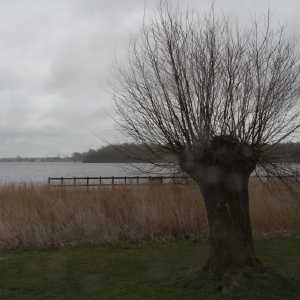 IMG_5668-1030x687