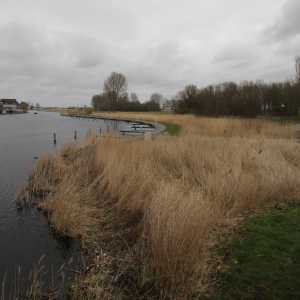 IMG_5852-1030x687
