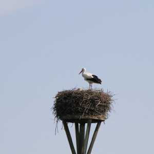 IMG_2115-1030x687