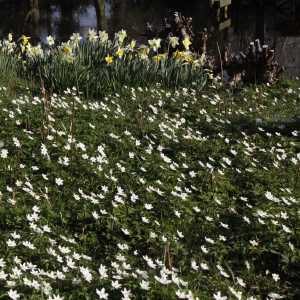 MG_2244-1030x687