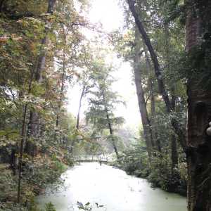 MG_6683-687x1030