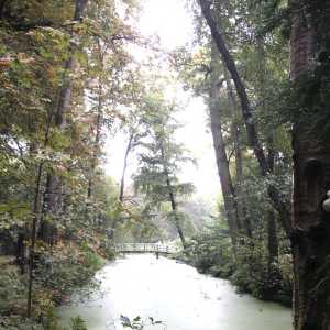 MG_6683-687x1030