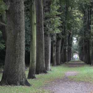 MG_6691-1030x687