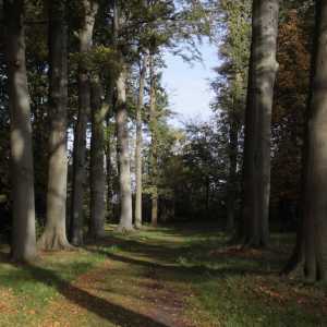 MG_6736-1030x687