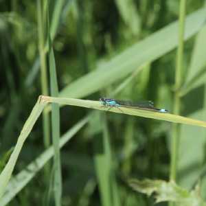 IMG_5783-1030x687