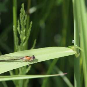 IMG_5792-1030x687
