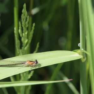 IMG_5792-1030x687