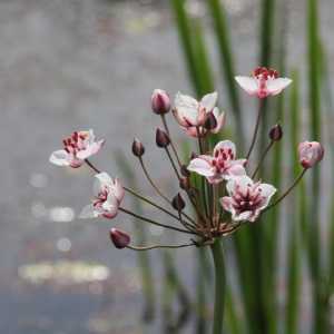IMG_5802-1030x687