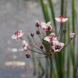 IMG_5802-1030x687