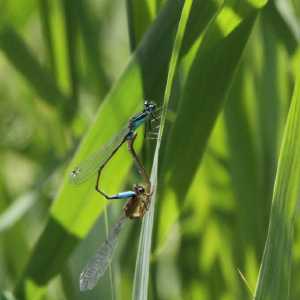 IMG_5814-1030x687