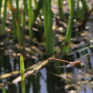 IMG_5840-1030x687