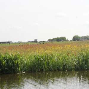 IMG_5653-1030x687