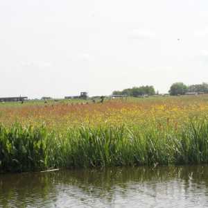IMG_5653-1030x687