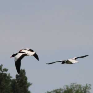 IMG_5672-1030x687