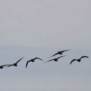 IMG_5702-1030x687