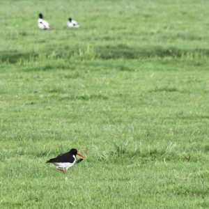 IMG_5703-1030x687