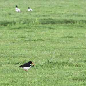 IMG_5703-1030x687