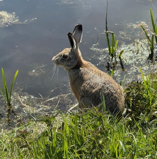 Met de Hylke Tromp naar de Boterhuispolder!