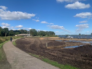 Kaalslag op Koudenhoorn!