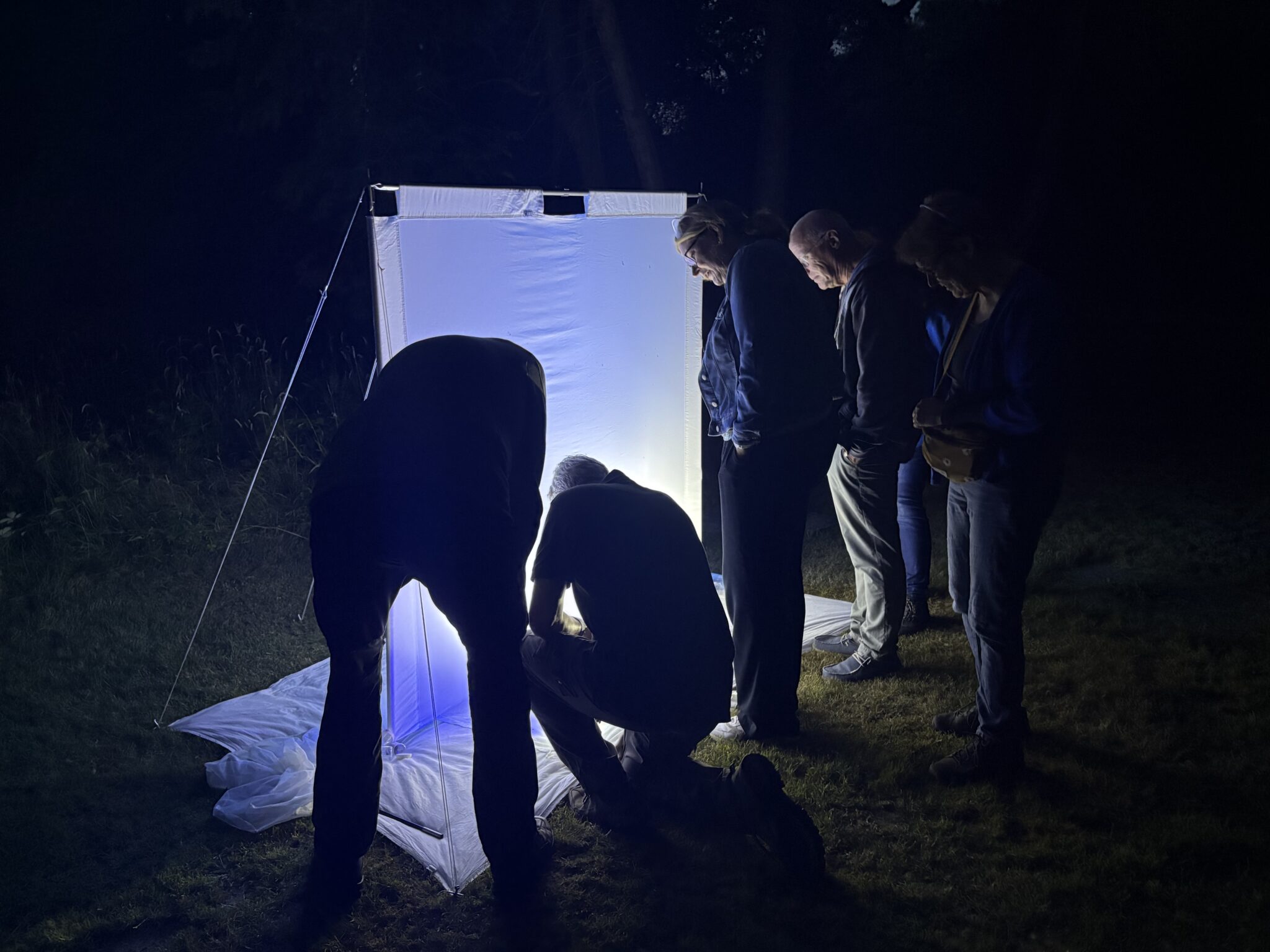 Op zoek naar nachtvlinders in het Bos van Krantz