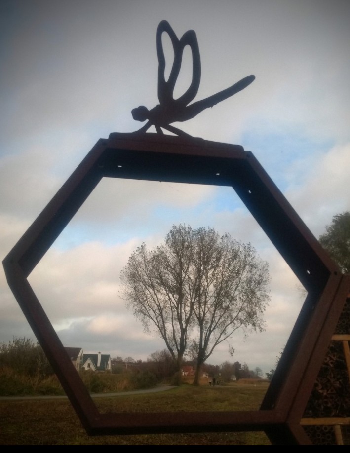 Fotografeerwandeling met fotoclub de Bloembollenstreek