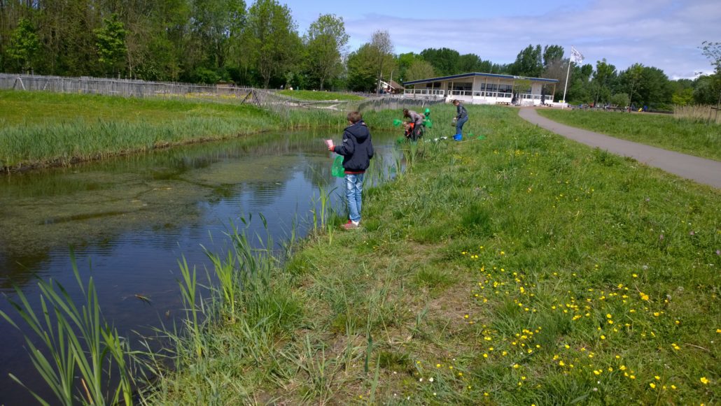 11 juni IVN scharrelkids – Slootjessafari