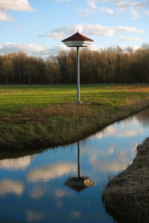 De zwaluwtil op Koudenhoorn wordt bewoond!